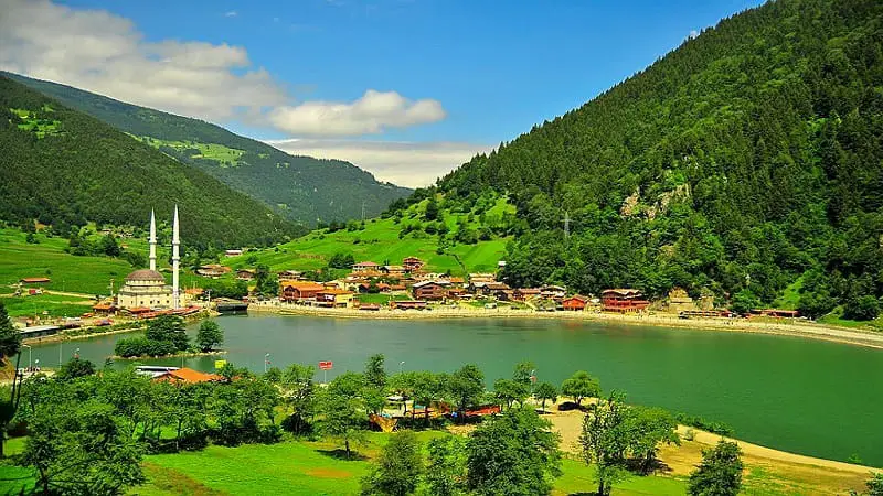 North Turkish (Trabzon)